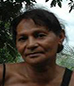 Tien